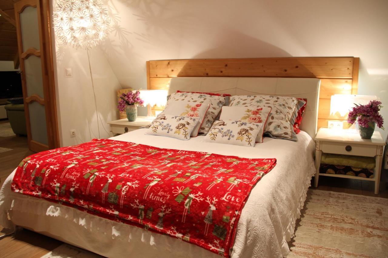 Rezydencja Tatry - Apartament Chamerion 1 자코파네 외부 사진
